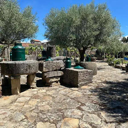 Casa de Campo Casa Dos Araujos *