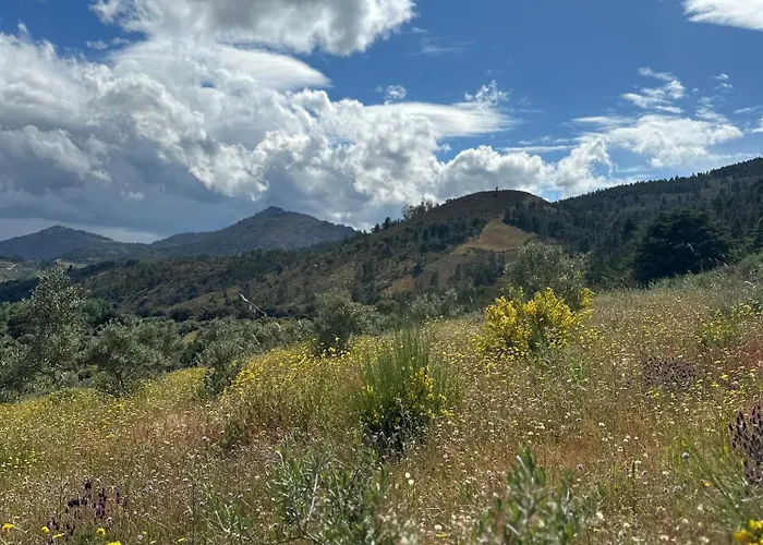 Casa Dos Araujos Gospodarstwo wiejskie Mirandela